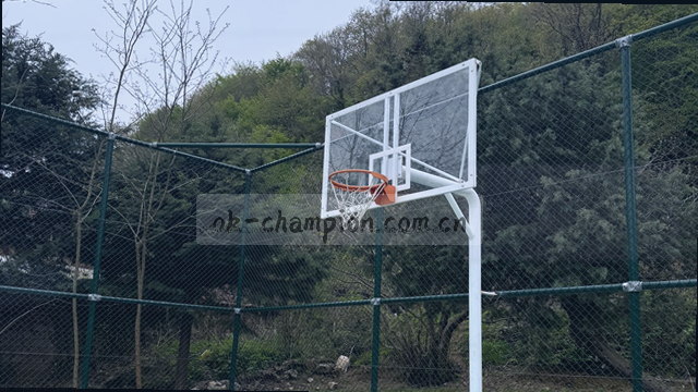 赛程推送准时
